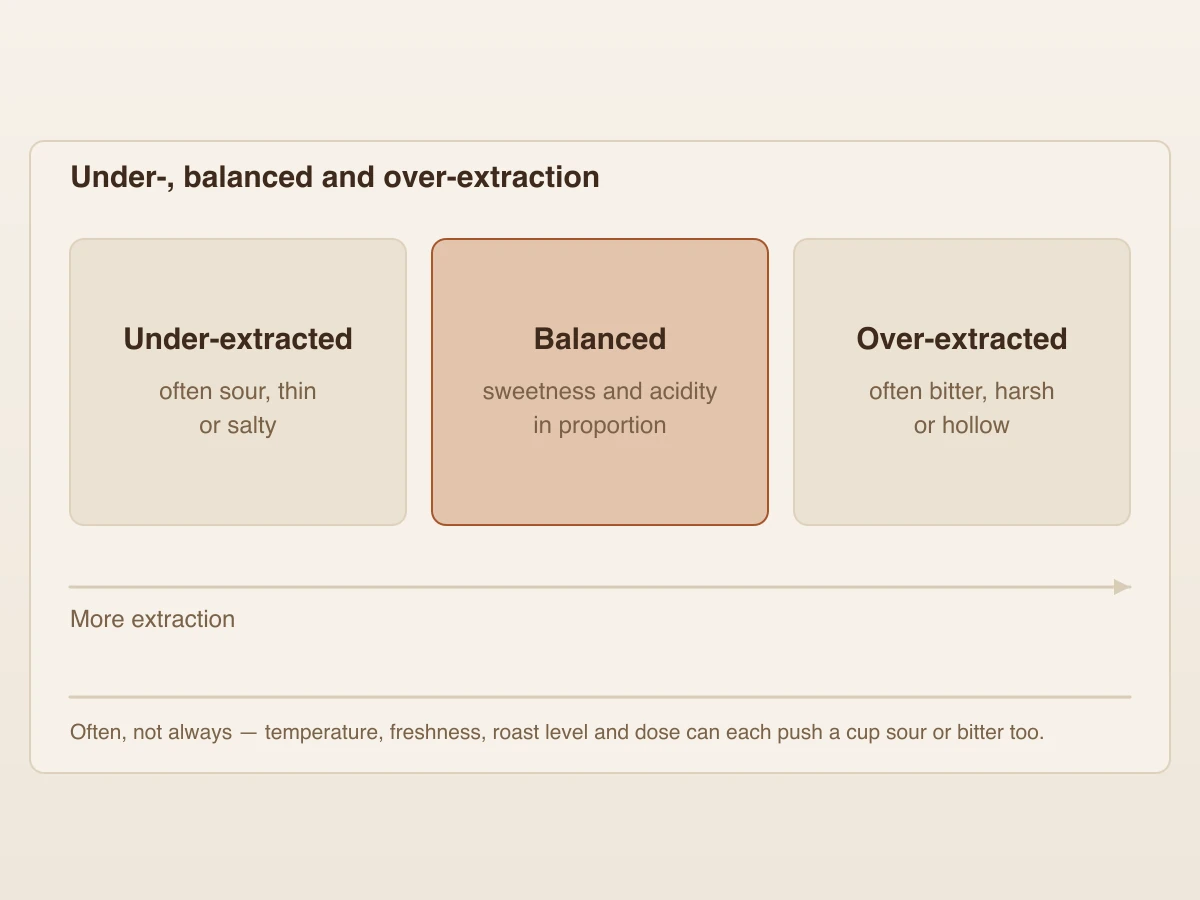 Three labelled panels in a row — under-extracted, balanced and over-extracted — with the balanced panel highlighted in the middle and an arrow beneath showing extraction increasing to the right.