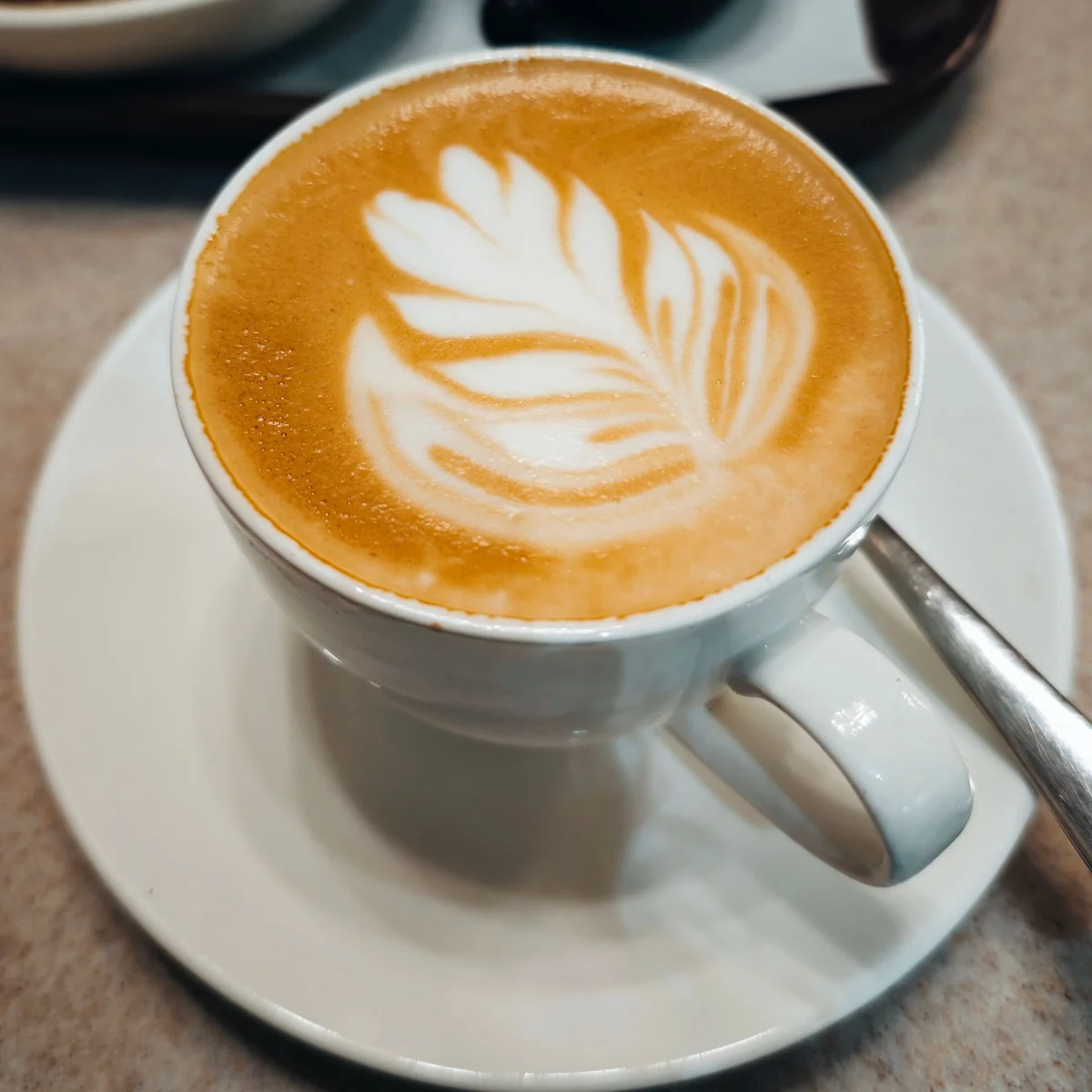 A wide cup of latte with a white leaf pattern poured into the surface foam.